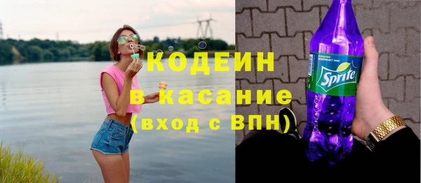 2c-b Гусиноозёрск