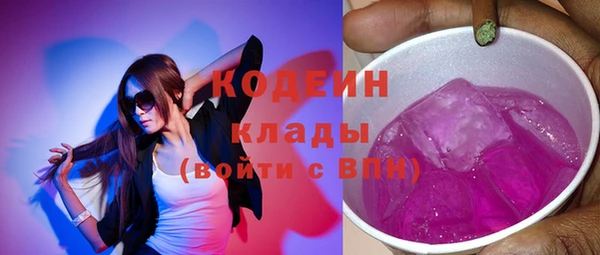 стаф Гусь-Хрустальный