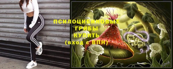 амф Горно-Алтайск