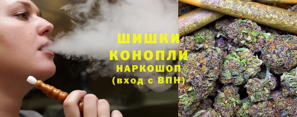 стаф Гусь-Хрустальный