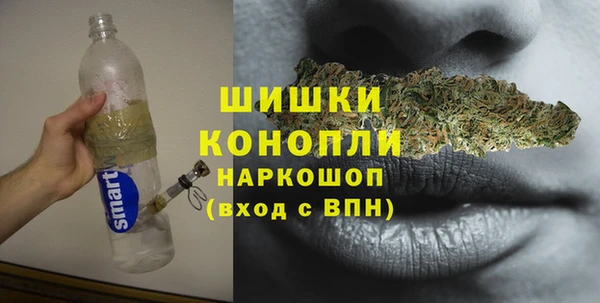 apvp Горняк
