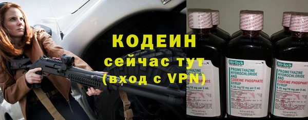 apvp Горняк